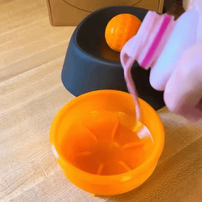 MyPawz™ The StayLock Bowl