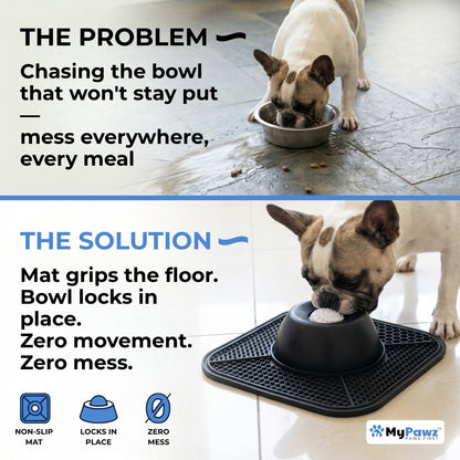 MyPawz™ The StayLock Bowl